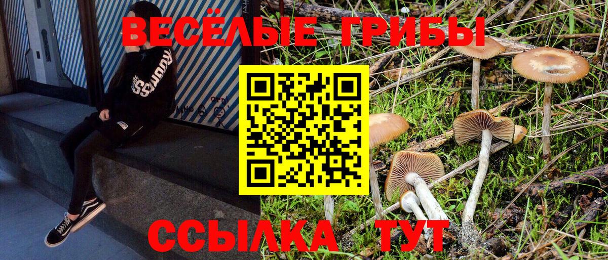 Псилоцибиновые грибы мухоморы Абакан